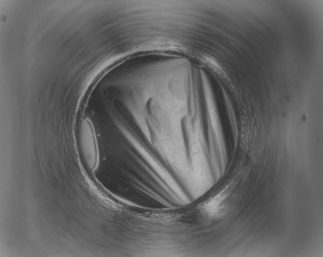 X0000055970942200509021543