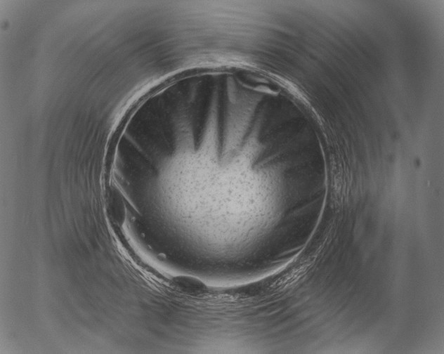 X0000055970943200509021543