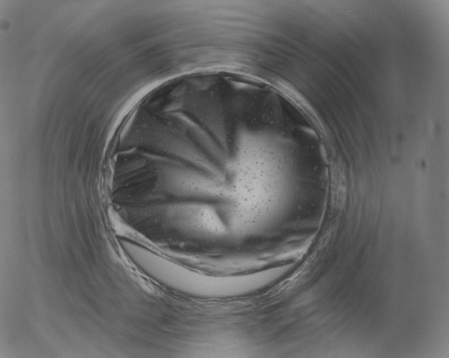 X0000055970956200509021543