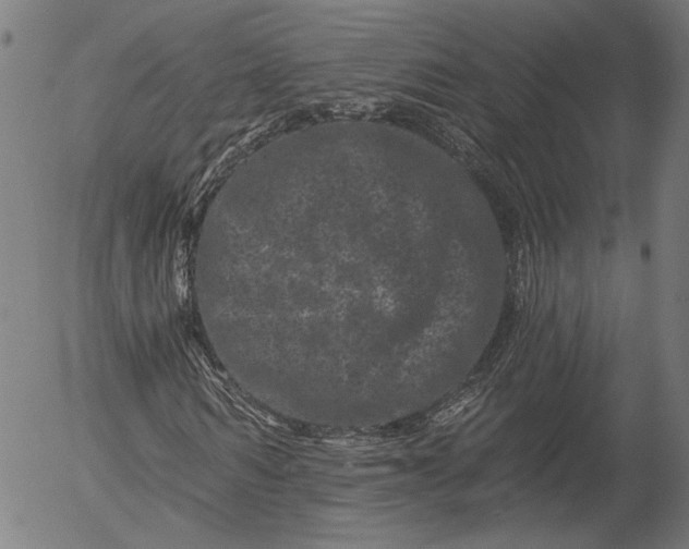 X0000055970962200509021542