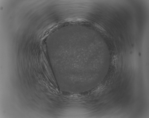 X0000055970966200509021542
