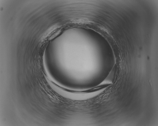 X0000055970968200509021542