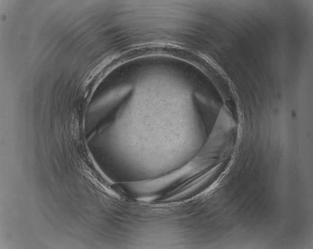 X0000055970969200509021542