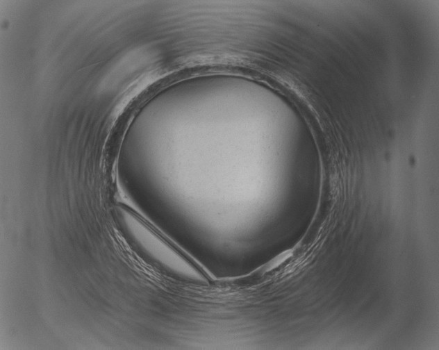 X0000055970975200509021542