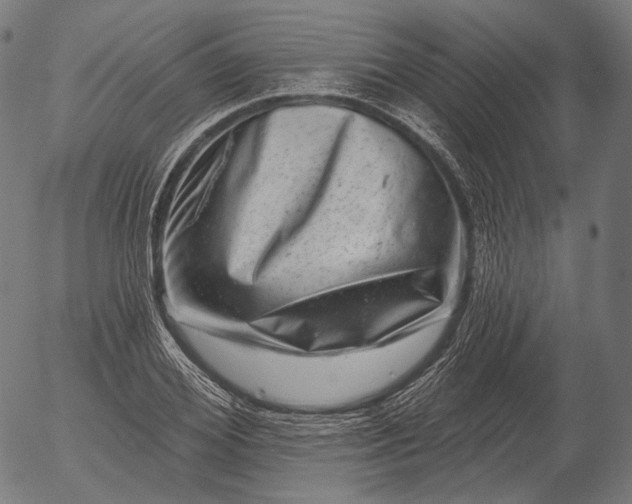 X0000055970980200509021542