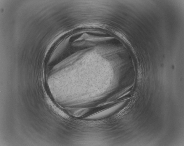 X0000055970984200509021542