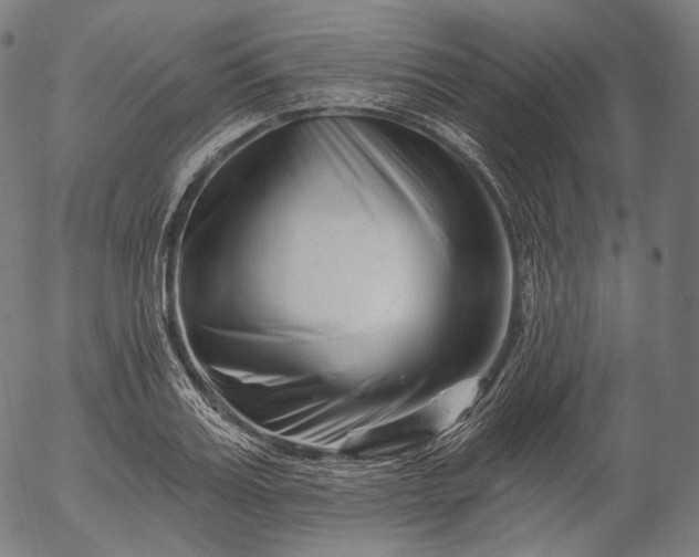 X0000055970987200509021542