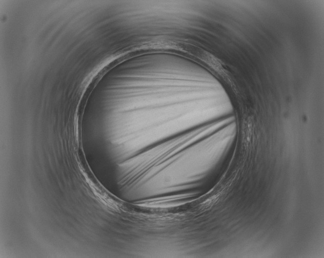 X0000055970988200509021542