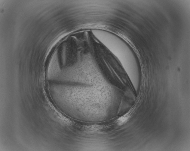 X0000055970992200509021542