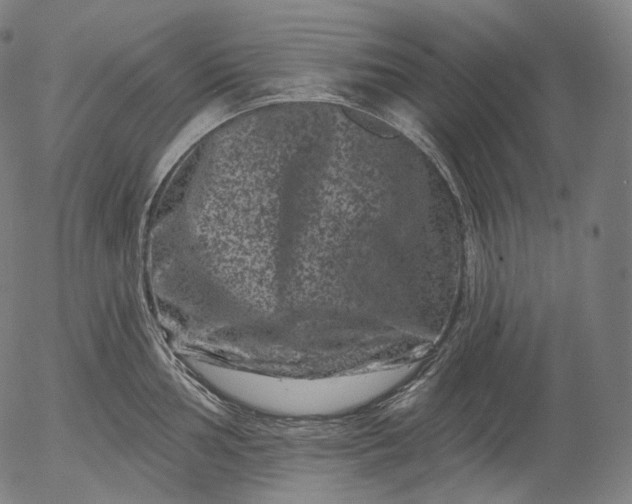 X0000055971002200509021542