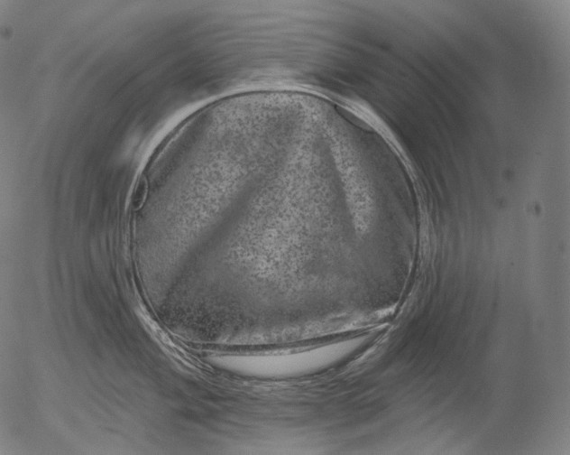 X0000055971004200509021542