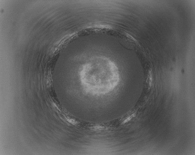 X0000055971014200509021541