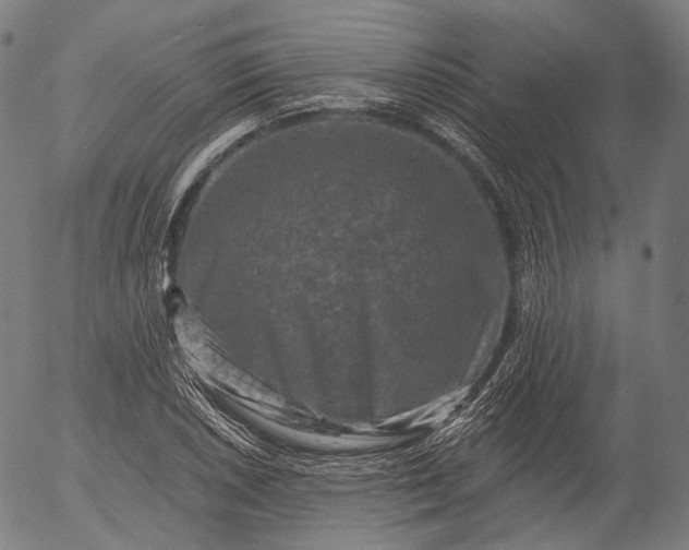 X0000055971026200509021541