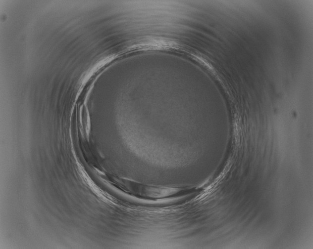 X0000055971034200509021541