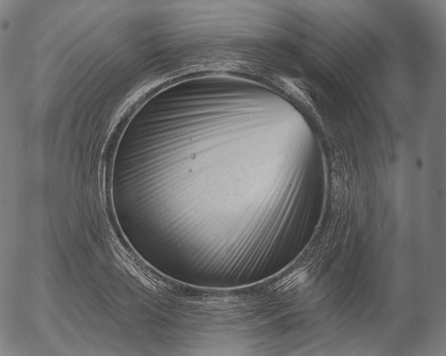 X0000055971035200509021541
