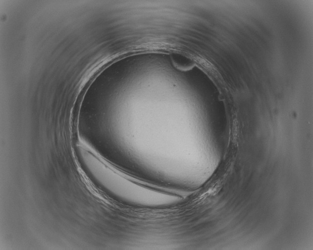 X0000055971039200509021541