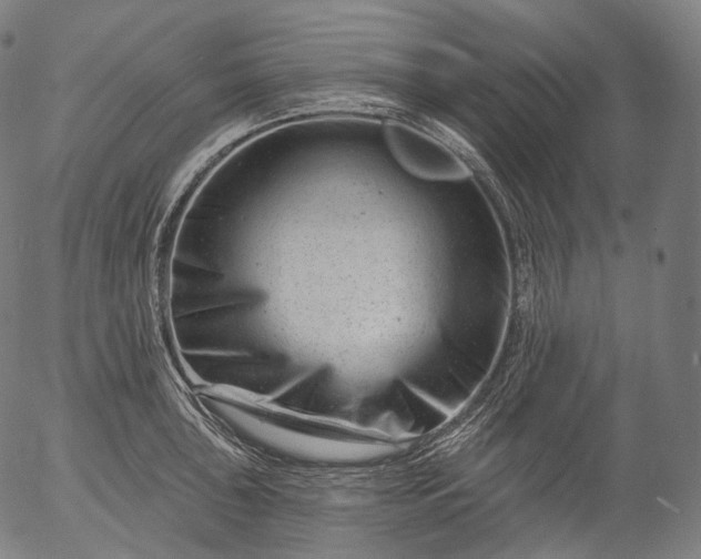 X0000055971043200509021541