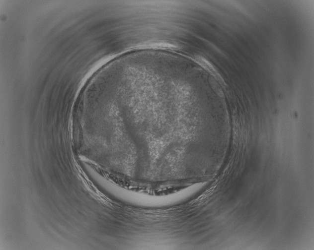 X0000055971044200509021541