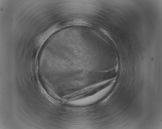 X0000055971082200509021540