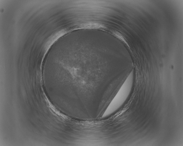 X0000055971087200509021540