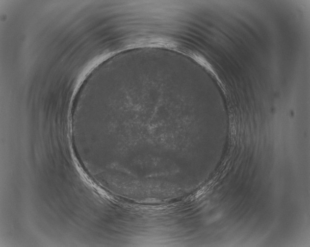 X0000055971088200509021540