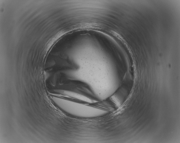 X0000055971089200509021540