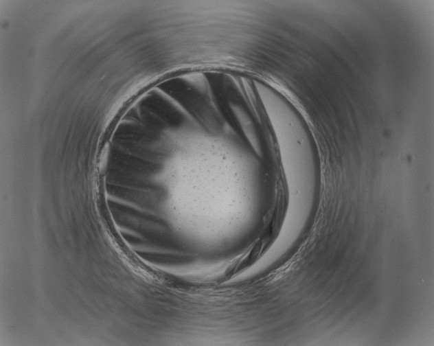 X0000055971093200509021540