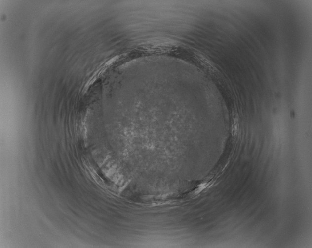 X0000055971108200509021539