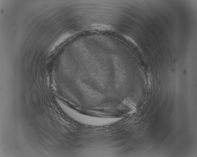 X0000055971112200509021539