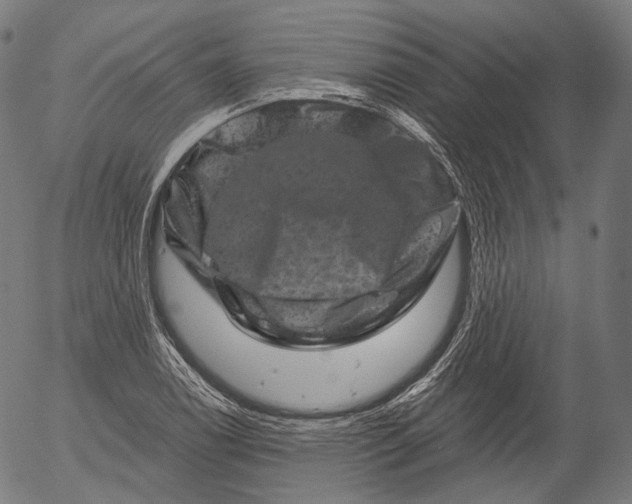 X0000055971122200509021539
