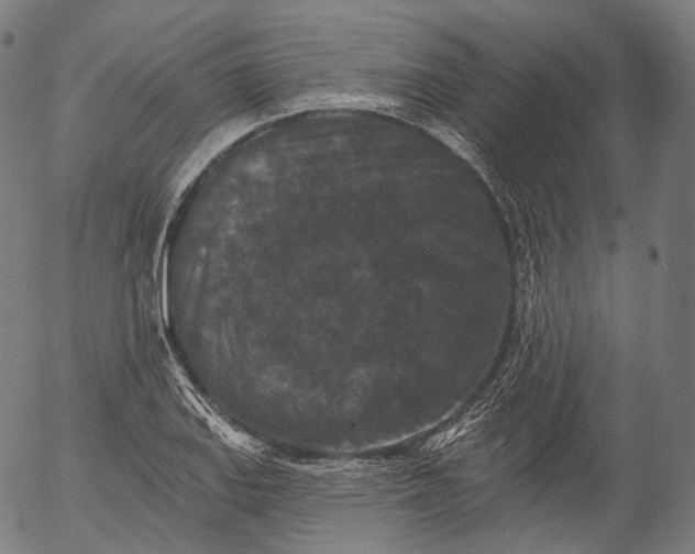 X0000055971127200509021540