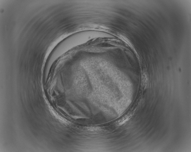 X0000055971136200509021540