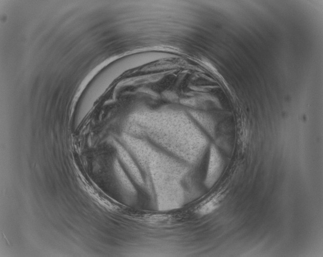 X0000055971140200509021540