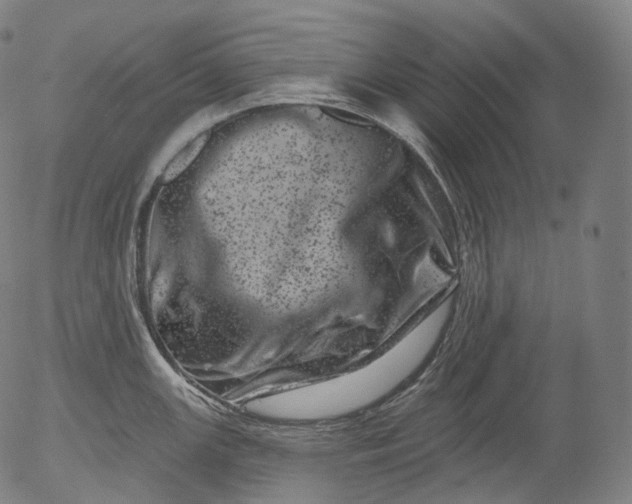 X0000055971147200509021540