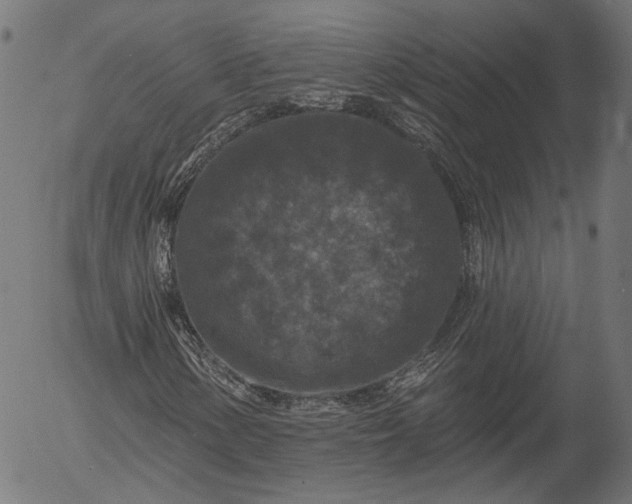 X0000055971154200509021539