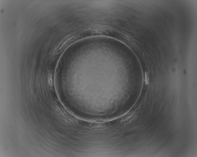 X0000055971155200509021539