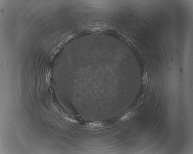 X0000055971156200509021539