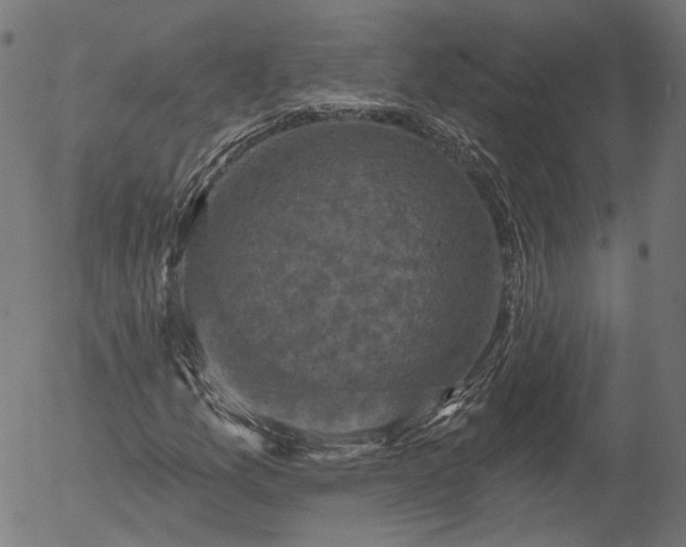 X0000055971157200509021539