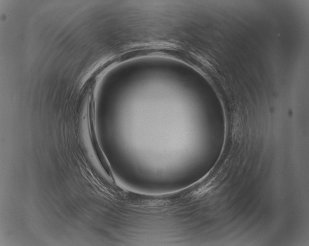 X0000055971163200509021539