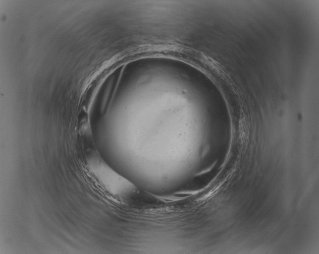 X0000055971165200509021539