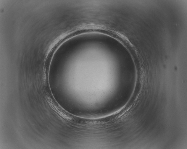 X0000055971167200509021539