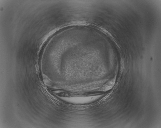 X0000055971168200509021539