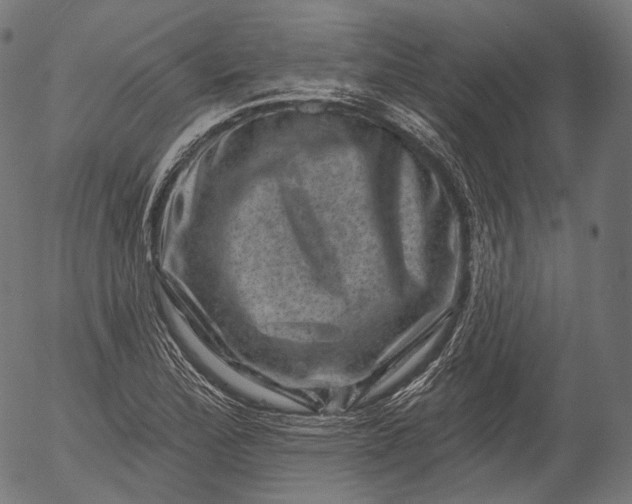 X0000055971172200509021539
