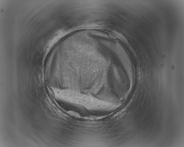 X0000055971176200509021539