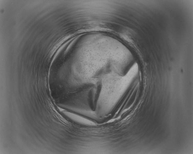 X0000055971177200509021539