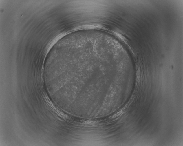 X0000055971178200509021539