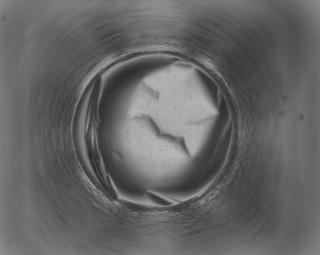 X0000055971181200509021539