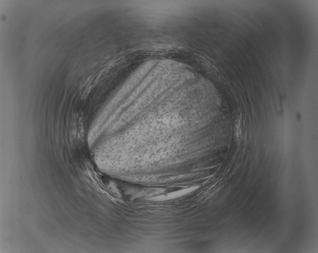 X0000055971204200509021538