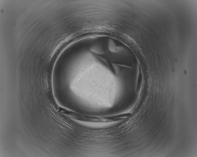 X0000055971218200509021538