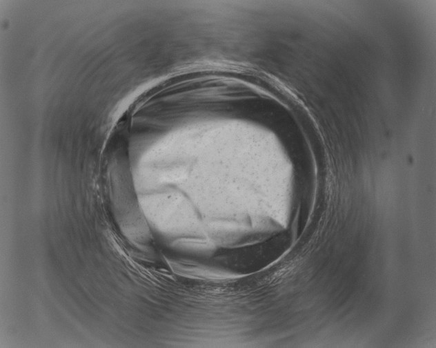 X0000055971222200509021538